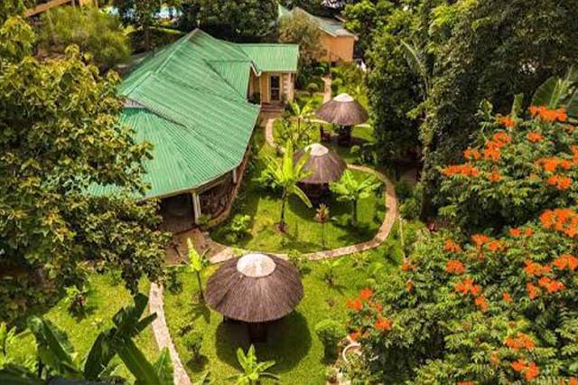 Africa Safari Arusha