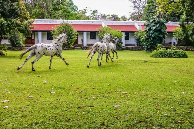 Ngare Sero Mountain Lodge
