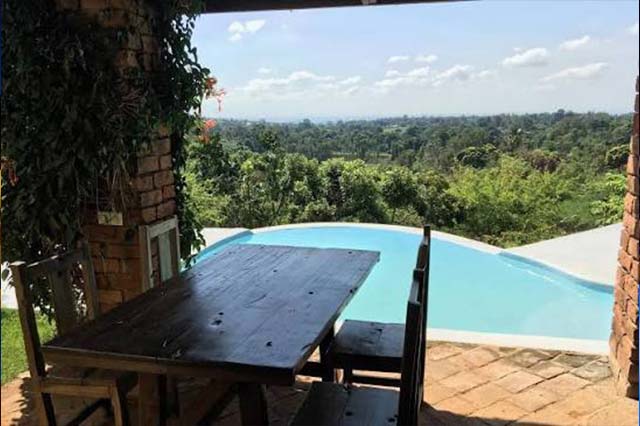 Pink Flamingo Boutique Hotel