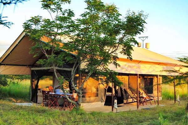 Tanzania Bush Camps Migration Camp