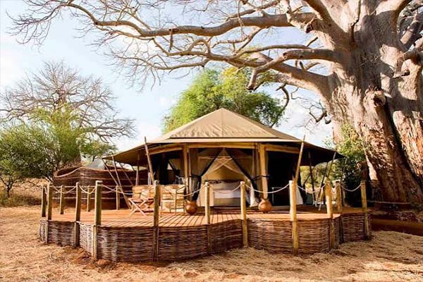 Sanctuary Swala Camp
