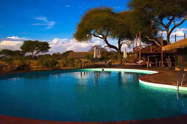 Tarangire Simba Lodge