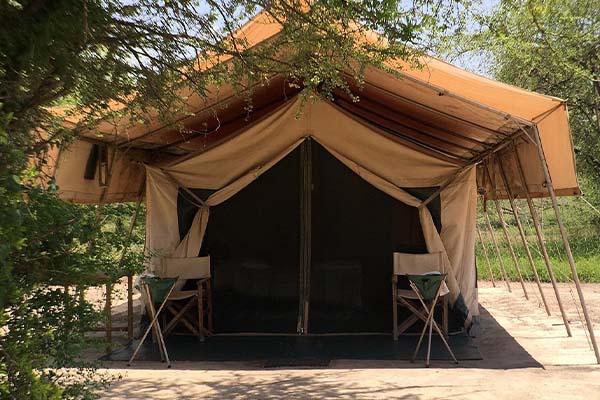 Whistling Thorn Tented Camp