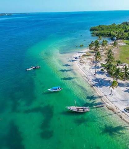 Mafia Island Marine Park