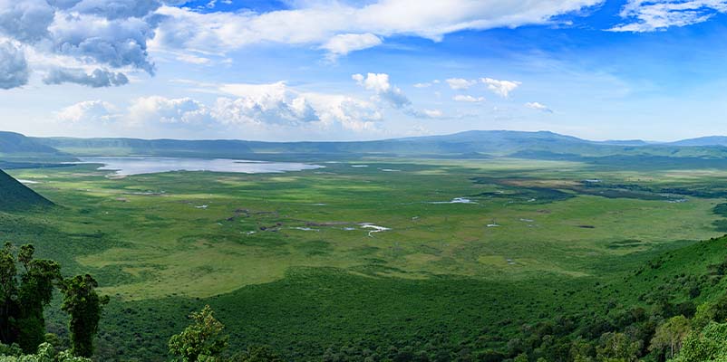 Wildlife viewing in Ngorongoro Crater