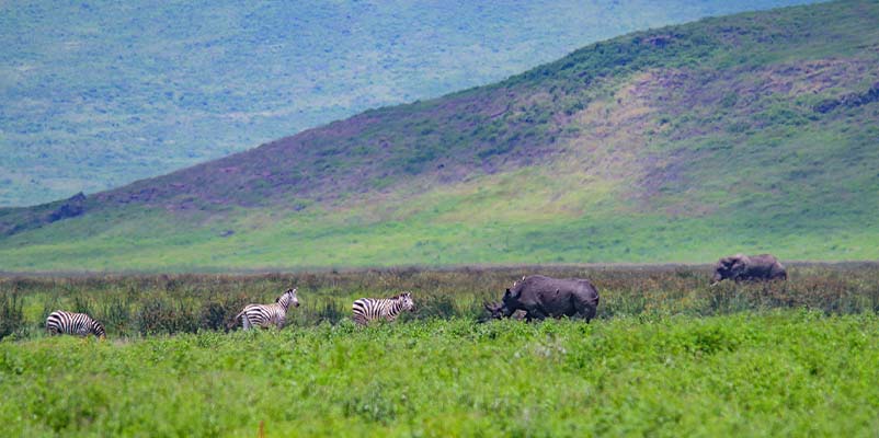 Safaris Mate vehicle in Ngorongoro