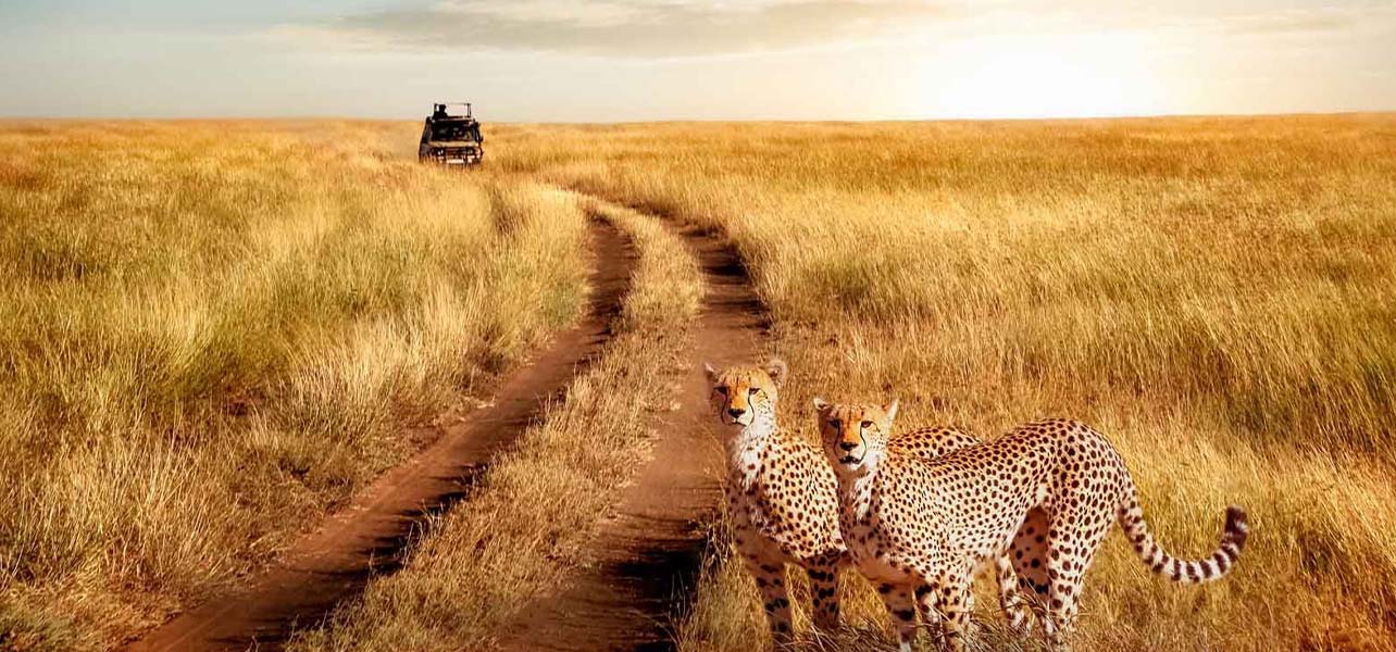 Ngorongoro Crater landscape