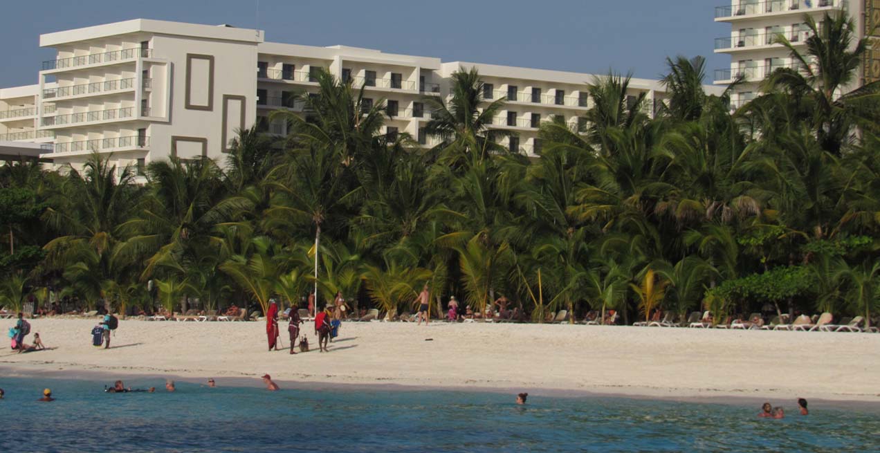 Zanzibar beach and palm trees at sunset