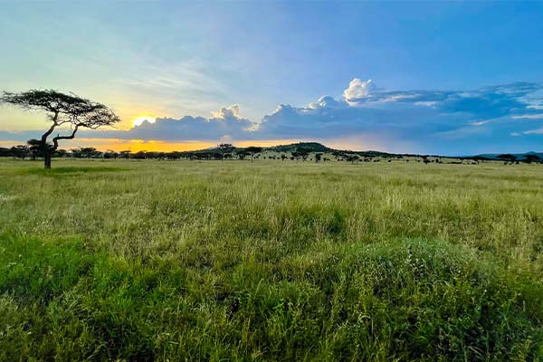 6 Days Mid-Range Safari  Northern Tanzania