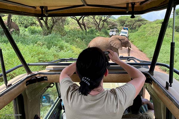 7 Days Ultimate Safari  Tanzania Parks