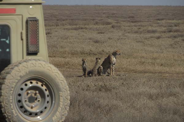 Best 9 Days Safari Experience  Tanzania