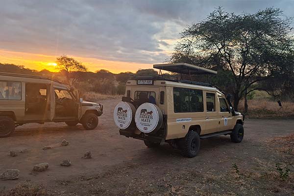 2 Days Private Safari  Northern Tanzania