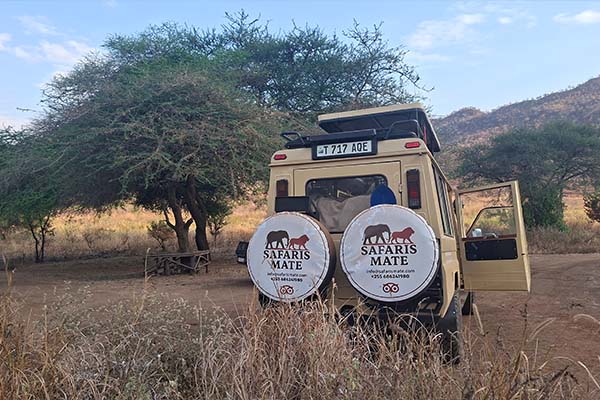 Best 4-Day Tanzania Safari  Tanzania